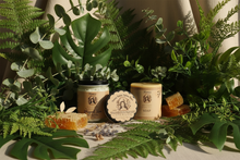 Shea Life Honey Collection - Lush Greenery